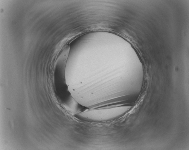 X0000069830193200606091454