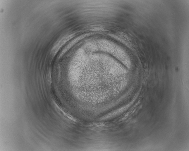 X0000069830194200606091454