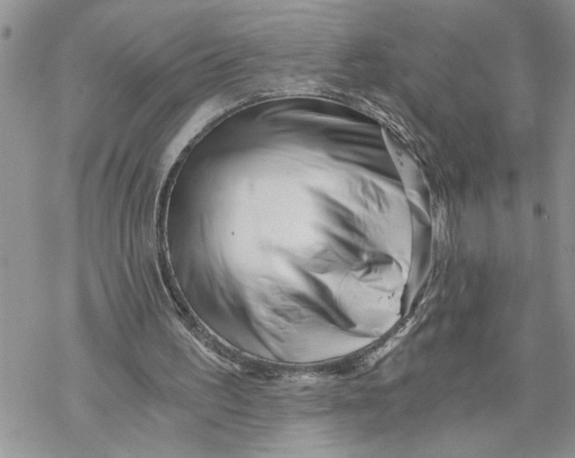 X0000069830195200606091454