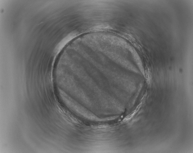 X0000069830196200606091454