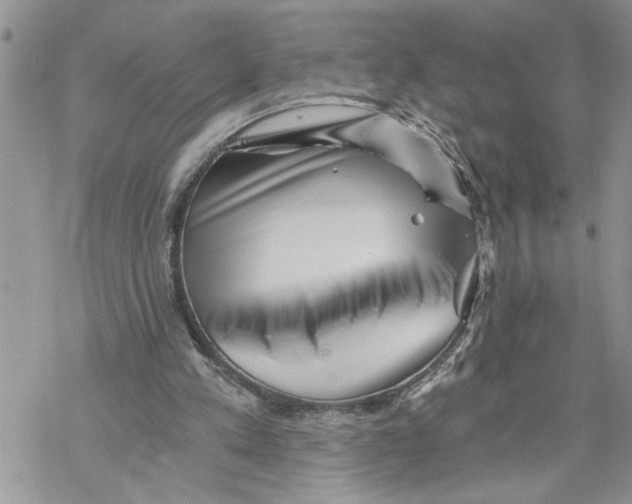 X0000069830197200606091454