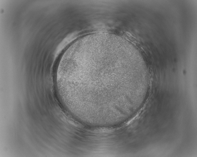 X0000069830198200606091454