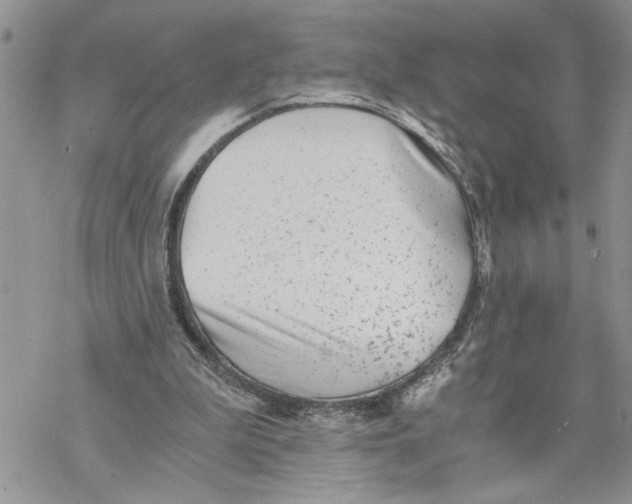 X0000069830199200606091454