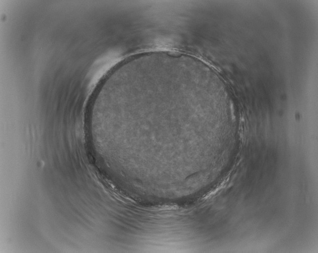 X0000069830200200606091454