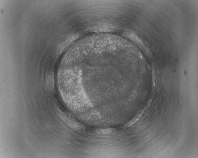 X0000069830202200606091454