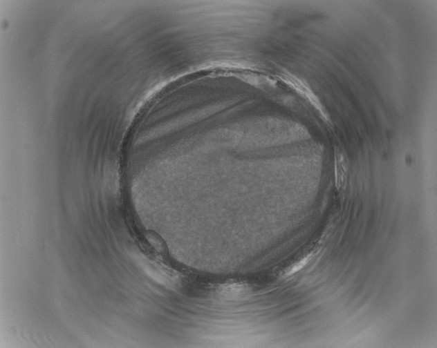 X0000069830204200606091454