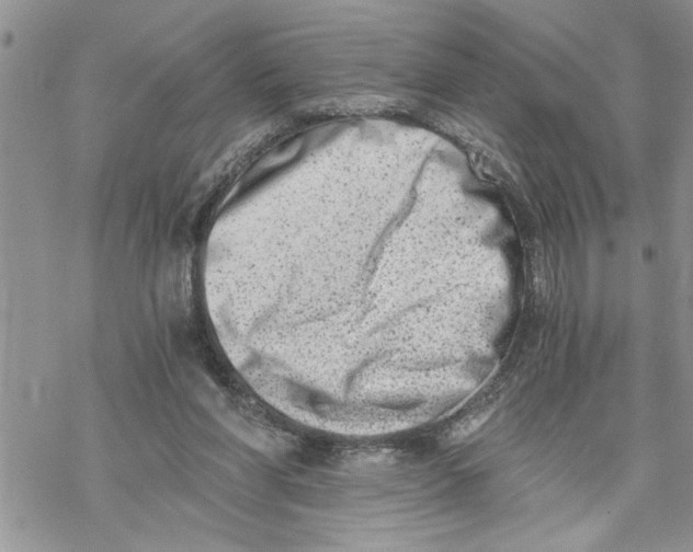 X0000069830206200606091454