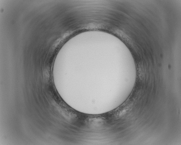 X0000069830208200606091454