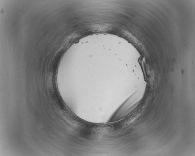 X0000069830209200606091454