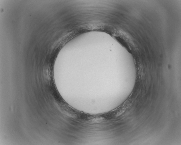 X0000069830210200606091454