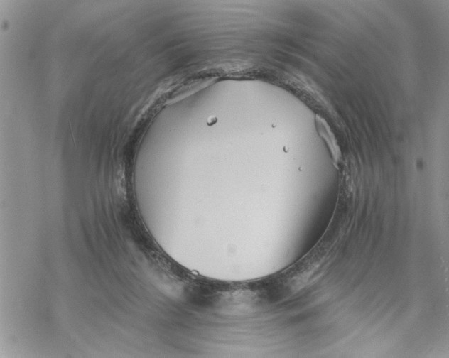 X0000069830212200606091454