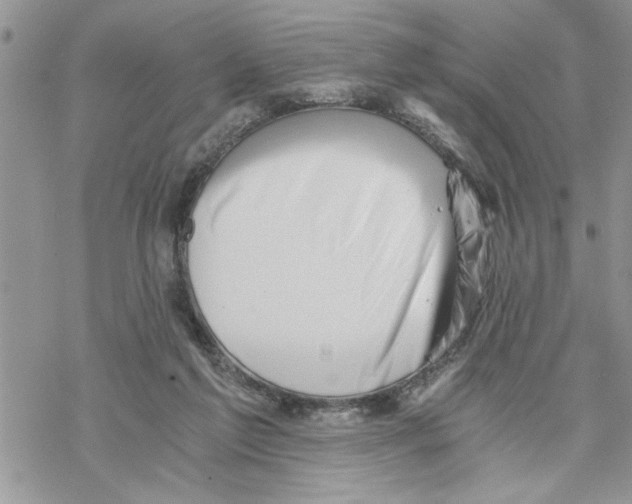 X0000069830213200606091454