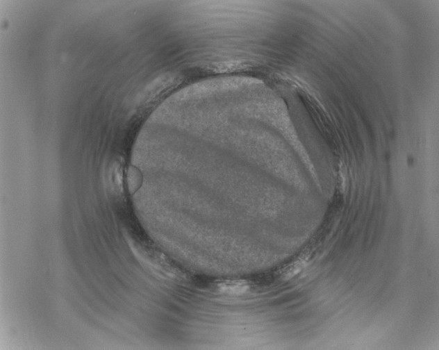 X0000069830214200606091454