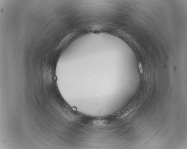 X0000069830216200606091454