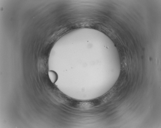 X0000069830218200606091454