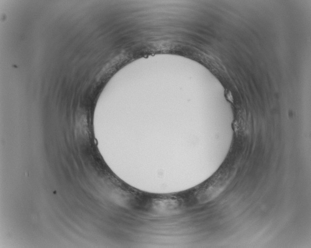 X0000069830220200606091454