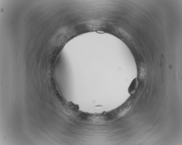 X0000069830221200606091454