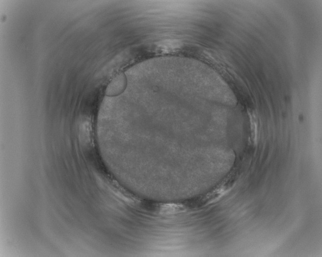 X0000069830222200606091454