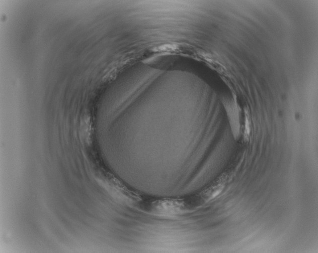 X0000069830223200606091454