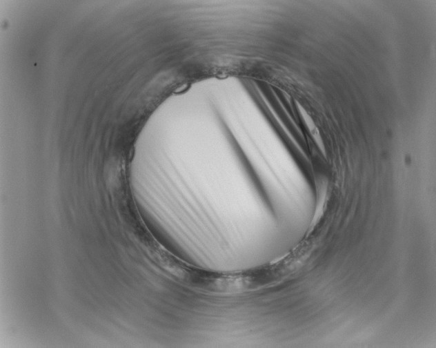 X0000069830225200606091454