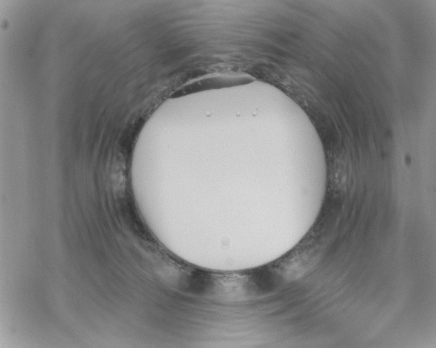 X0000069830226200606091454