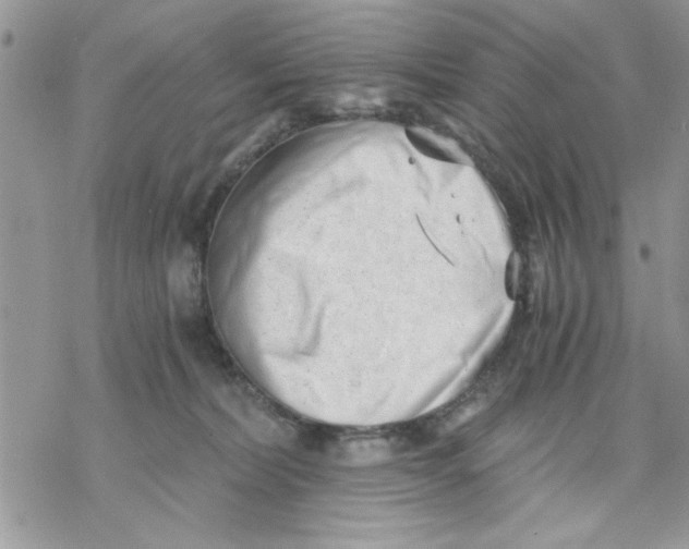 X0000069830228200606091454