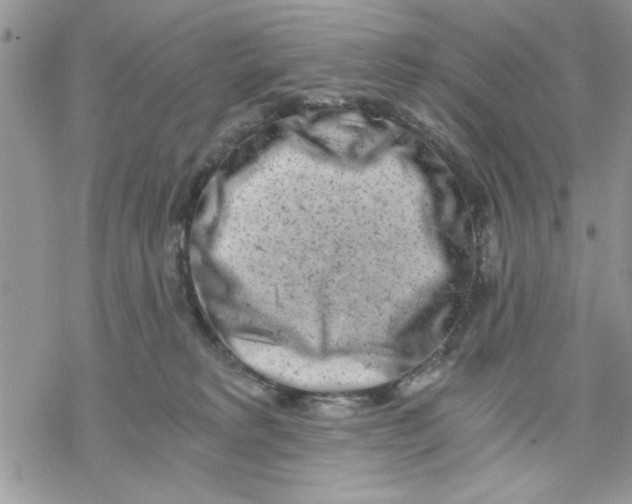 X0000069830229200606091454