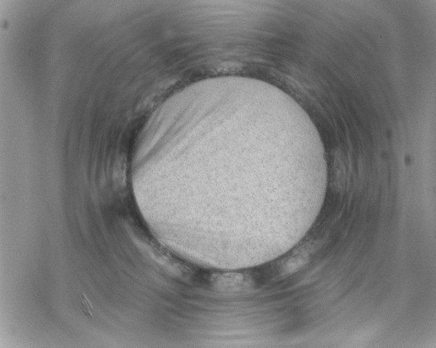 X0000069830230200606091454