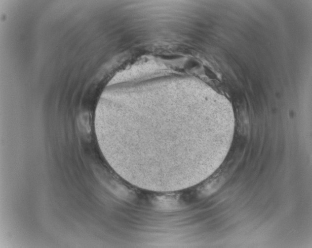 X0000069830232200606091453