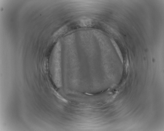 X0000069830233200606091453