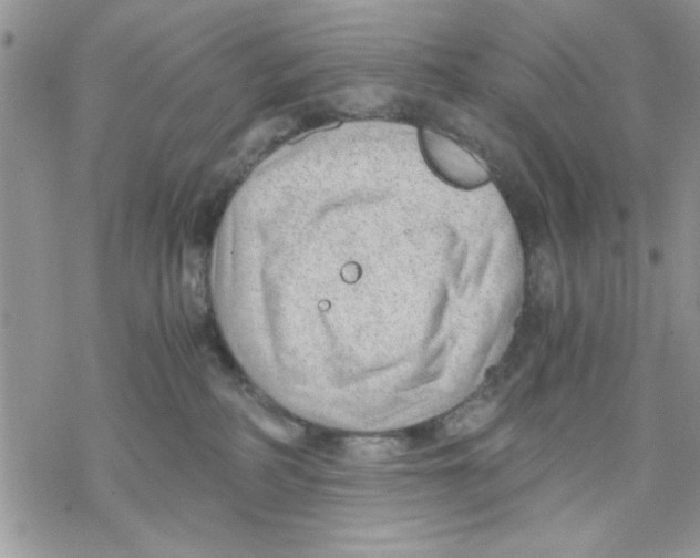 X0000069830234200606091453