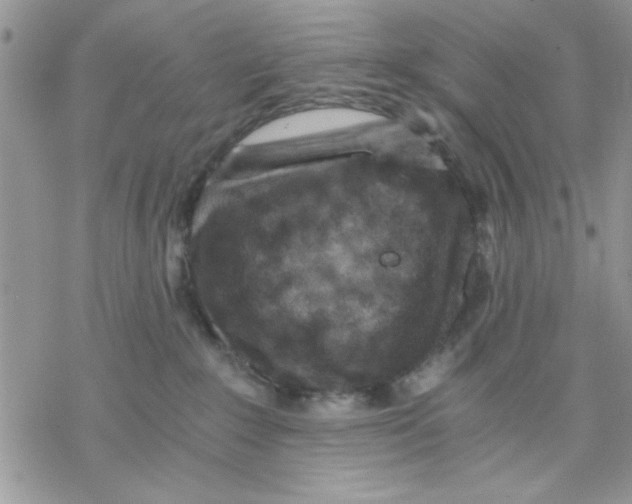 X0000069830235200606091453