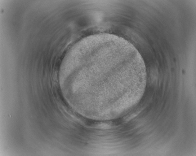 X0000069830236200606091453