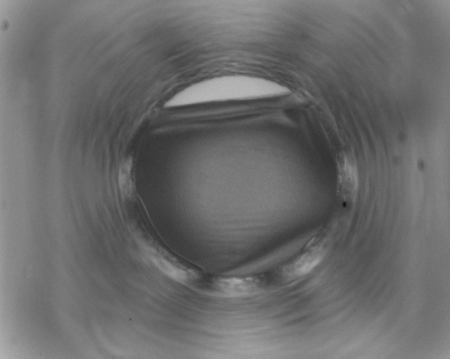 X0000069830239200606091453