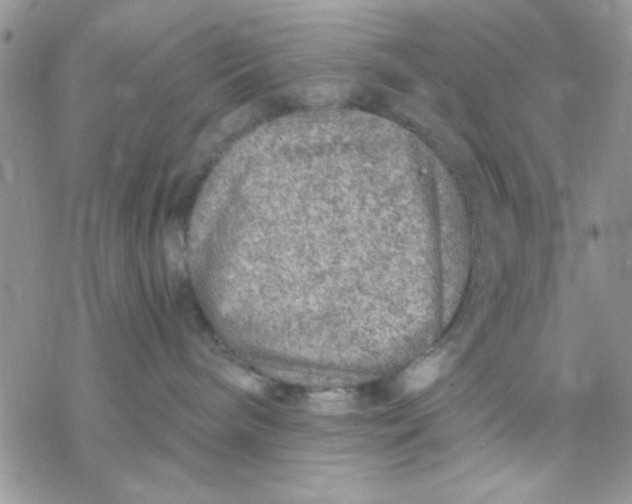 X0000069830240200606091453