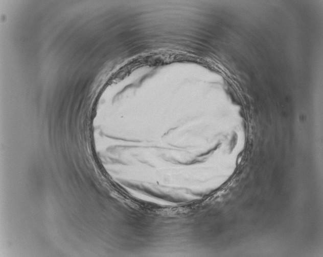 X0000069830241200606091453