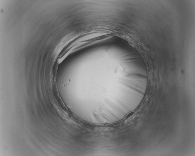 X0000069830242200606091453