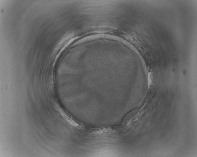 X0000069830243200606091453