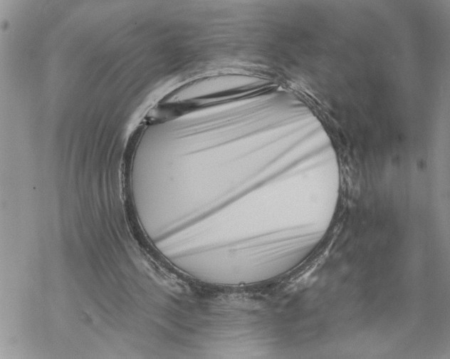 X0000069830244200606091453