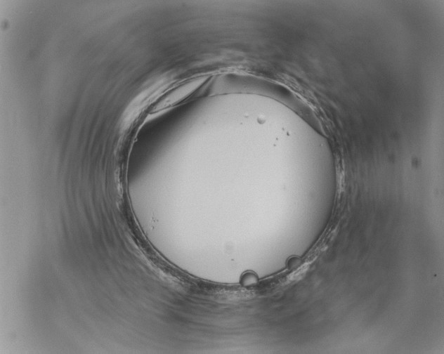 X0000069830245200606091453