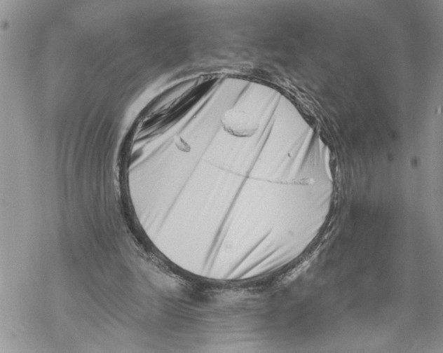 X0000069830246200606091453