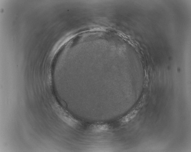 X0000069830247200606091453