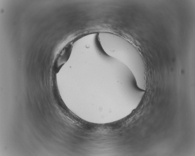 X0000069830248200606091453