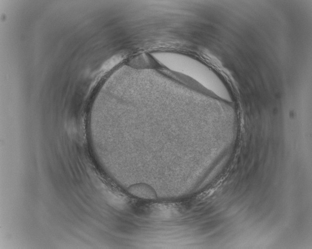 X0000069830250200606091453