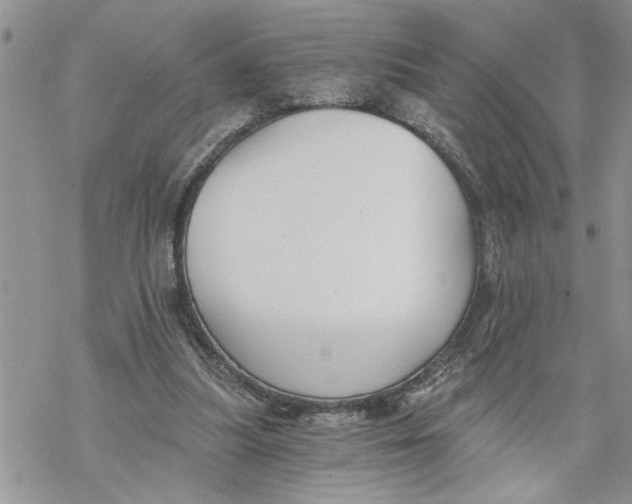 X0000069830251200606091453