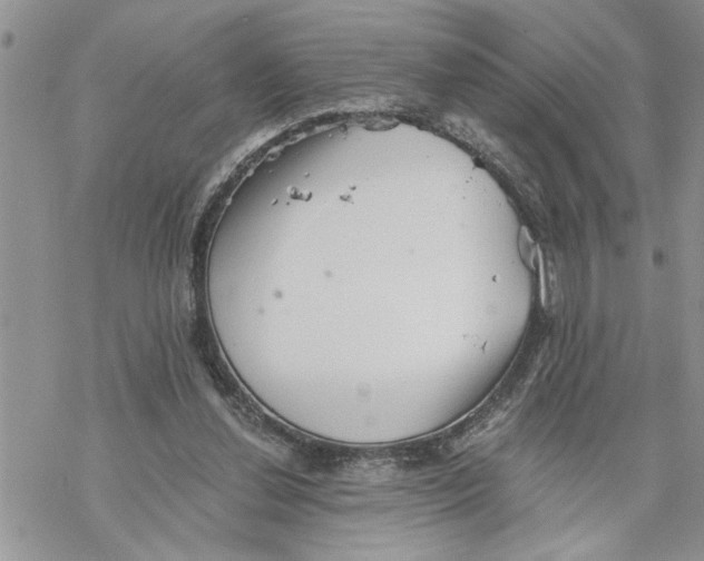 X0000069830252200606091453