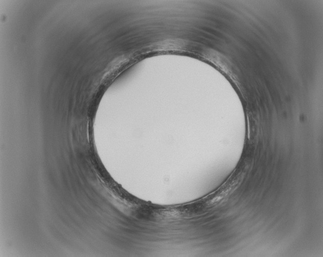 X0000069830253200606091453