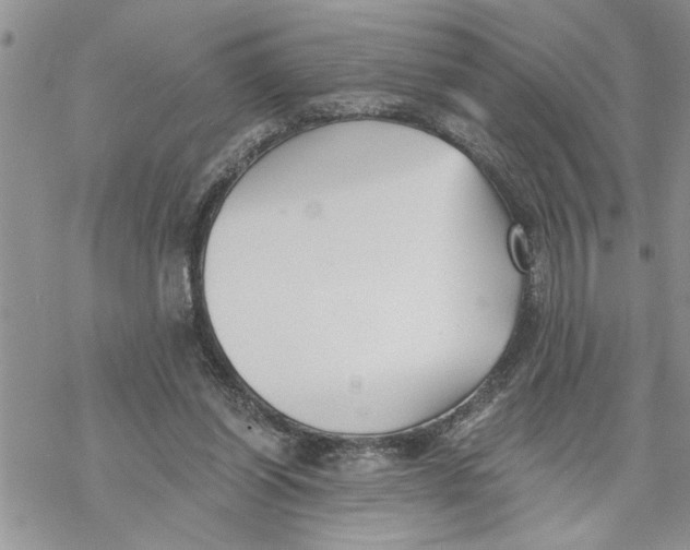 X0000069830254200606091453