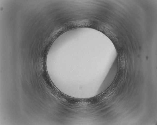 X0000069830255200606091453