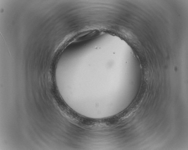 X0000069830256200606091453